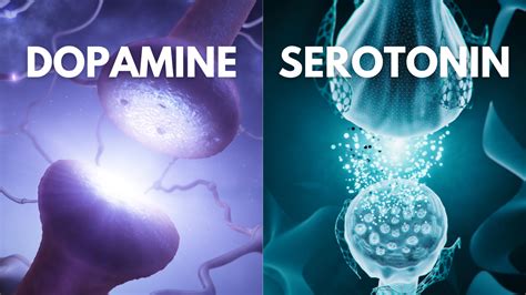 Dopamine Vs Serotonin