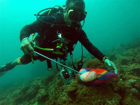 Coastal Cleanup In Batangas Resort Yields 1000 Kilos Of Trash