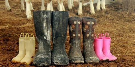 7 Best Muck Boots For Farming Reviews In 2024 Equine Desire