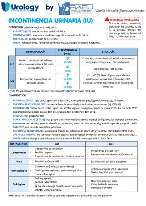 Incontinencia Urinaria By Raeu Urology Cheatsheets