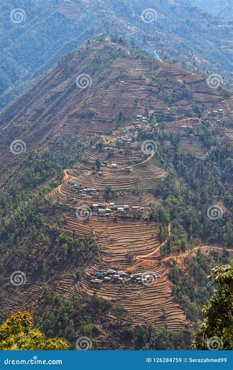 Terrace Farming Also Known As Step Farming Stock Image Image Of