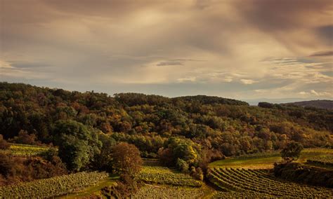 Interesting Facts About Weinviertel In Lower Austria Region