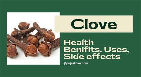 Amazing Health Benefits Of Cloves Uses Nutrition And Side Effects Pujasthan