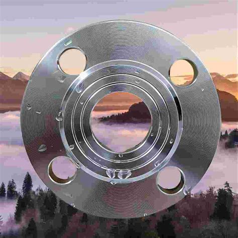 ASME B16 5 Class 150 PN 16 Carbon Steel Plate Flange For Petroleum