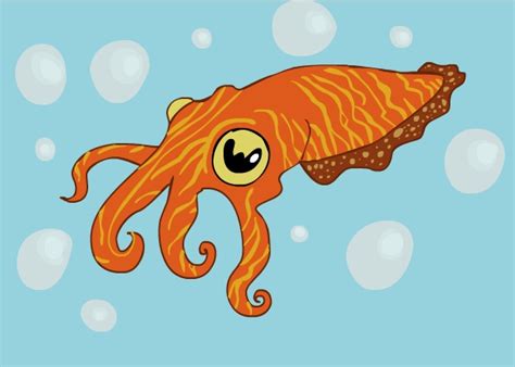 Cuttlefish by StrangeKangaroo on DeviantArt