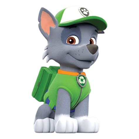 Paw Patrol Png Rocky El Taller De Hector