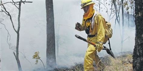 Jalisco Tercer Lugar Nacional En Incendios Forestales El Informador