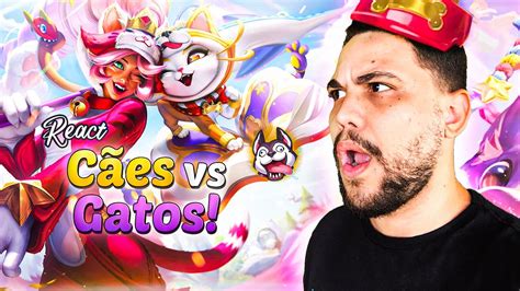 REACT SKINS CÃES VS GATOS LEAGUE OF LEGENDS LOL YouTube