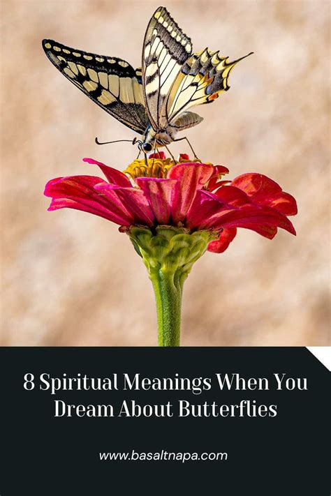 8 Spiritual Meanings When You Dream About Butterflies