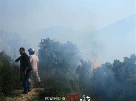 Albisola Incendio Sulle Alture Di Ellera Sul Posto Elicottero E