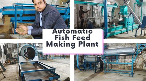 Automatic Fish Feed Making Plant Fish Feed Plant How To Make Fish