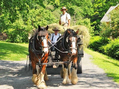 Haywagon At Quiet Valley Living Historical Farm Stroudsburg Pa See