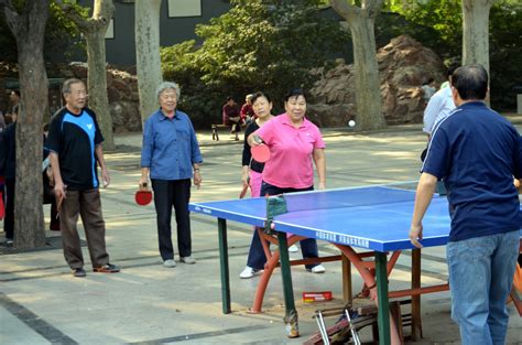 Ping Pong Free Stock Photo Public Domain Pictures