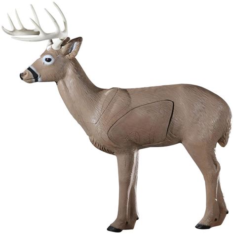 The Best 3d Deer Targets For Archery And Crossbow 2023 Reviews