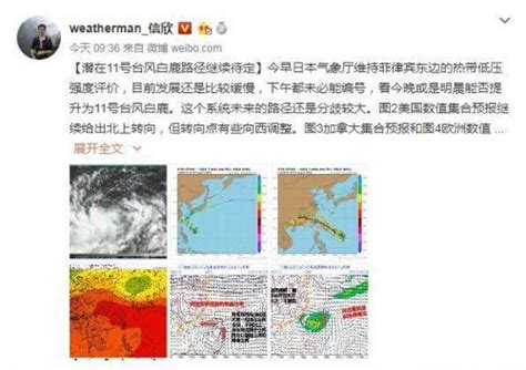 11号台风白鹿详细情况 台风白鹿会带来哪些影响？2019台风最新消息（2）国内新闻海峡网