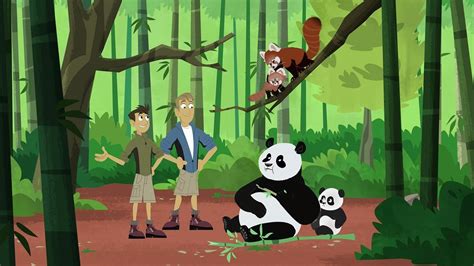 Wild Kratts and the Love of the Creature - Christ and Pop Culture