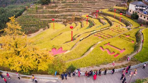 临安乡村运营师周静秋拟入选2022年度乡村文化和旅游带头人 中国旅游新闻网