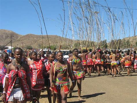 Reed Dance: All buses transporting maidens to be inspected