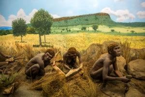 Homo Luzonensis New Species Of Ancient Human Discovered