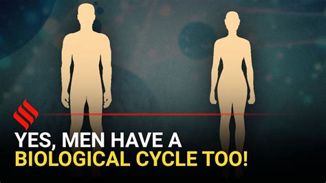 Gynaecologist Explains Men Also Have A Biological Cycle Youtube