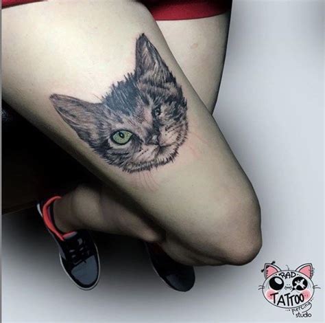 Kedi Dövmesi Cat Tattoo Animal tattoo Animals Tattoos