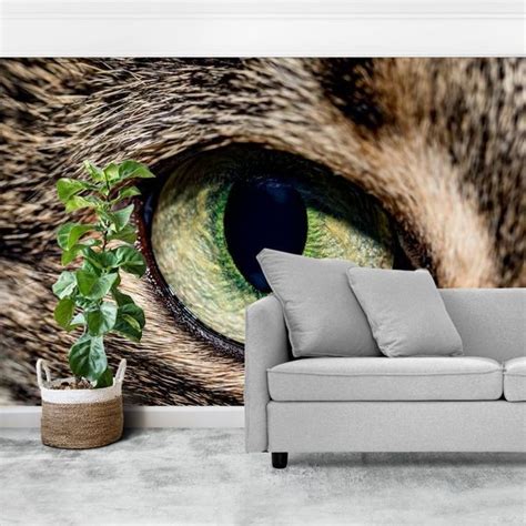 Groen Katten Oog Fotokunst Sfeer Aan De Muur