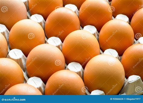 Fresh Natural Raw Chicken Eggs Stock Photo Image Of Eating Freshness