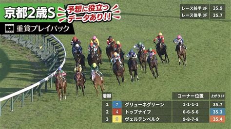 【京都2歳s 2023】過去5年のレース映像・傾向 競馬予想動画 Netkeiba