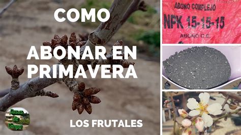 Details C Mo Abonar Rboles Frutales Abzlocal Mx