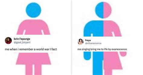 The Funniest Memes About There Being More Than Two Genders