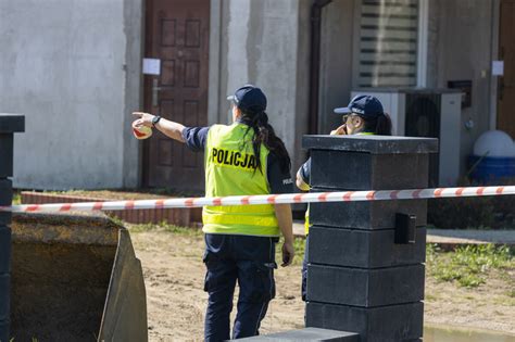 Kobyla G Ra Mier Madzi I Jadzi Wstrz Sn A Ca Polsk Matka By A