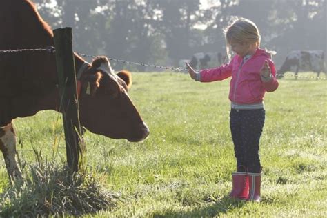 De Leukste Boerderij Uitjes Met Kinderen In Nederland