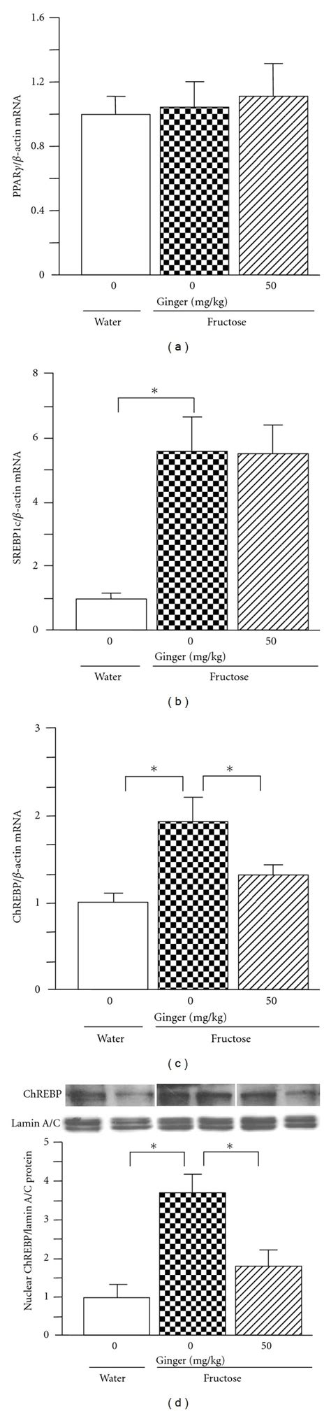 Hepatic mRNA expression of PPAR γ a sterol regulatory Download