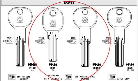 Iseo R6 And R6 Topolino Decoder