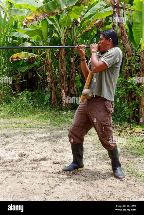 Arma de cerbatana fotografías e imágenes de alta resolución Alamy