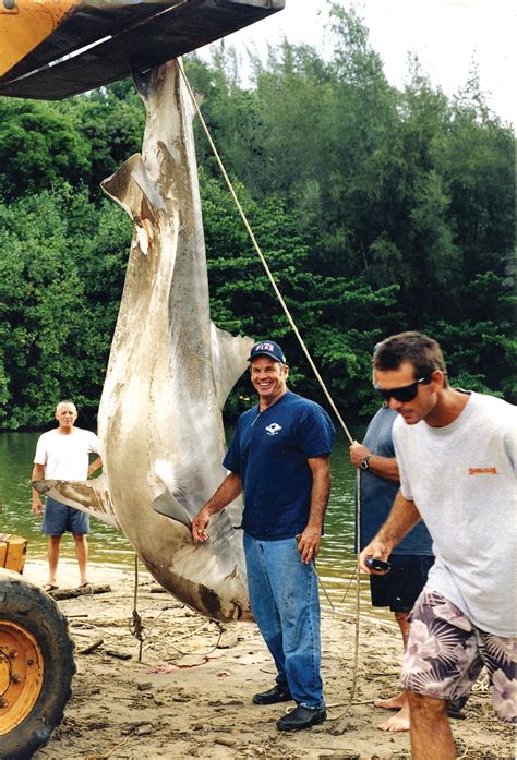 20th Anniversary Of Bethany Hamiltons World Famous Shark Attack