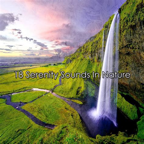 18 Serenity Sounds In Nature Album By Pro Sounds Of Nature Spotify