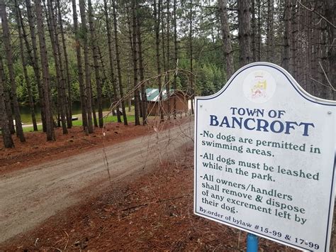 Bancroft Mayor urges caution as town reopens - My Bancroft Now