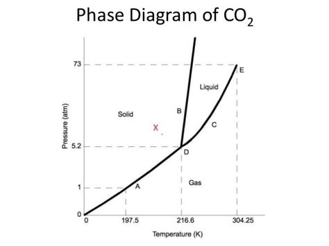 Phase Diagram Of Carbon Dioxide General Wiring Diagram