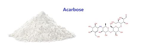 How does acarbose work?