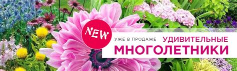 Интернет-магазин «Процветок» в Беларуси