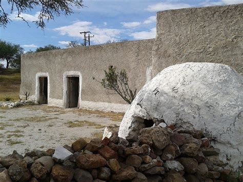 La Coyotada