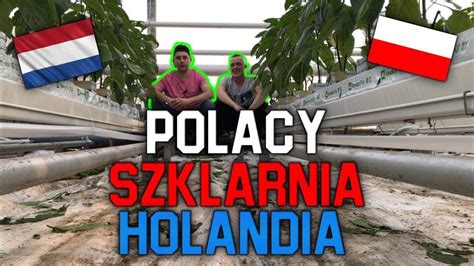 POLAK W HOLENDERSKIEJ SZKLARNI PRACA W HOLANDII YouTube