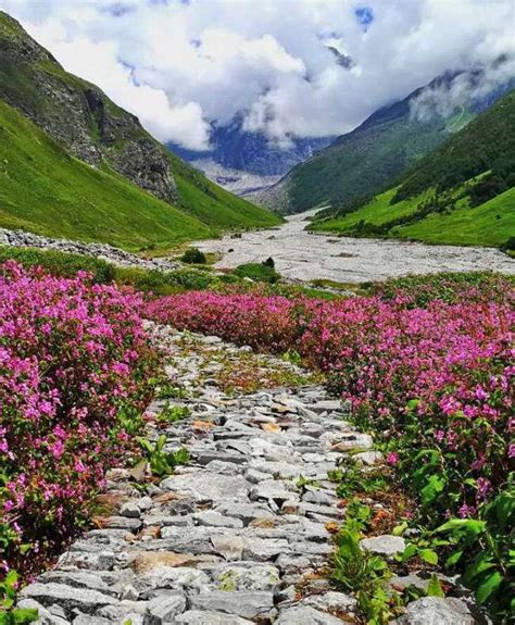 Valley Of Flowers: A 4 Day Trekking Guide | Shilpa Ahuja