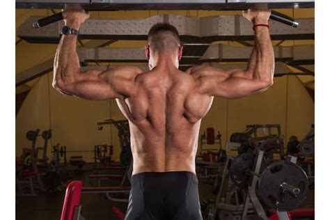 10 Tips For Building A Well Defined Back Best Exercises For Building