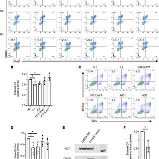 Immune Profile Of Enriched Primary Nk Cells Demonstrates Less Mature Nk