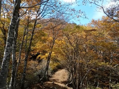 紅葉登山2024【関西編】秋だけの絶景を！ おすすめの山と見頃まとめ＜六甲山、氷ノ山、比叡山、葛城山など＞ Yamap Magazine