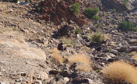 Fuerte Volcadura En La Carretera Tecate Mexicali La Rumorosa Hoy De