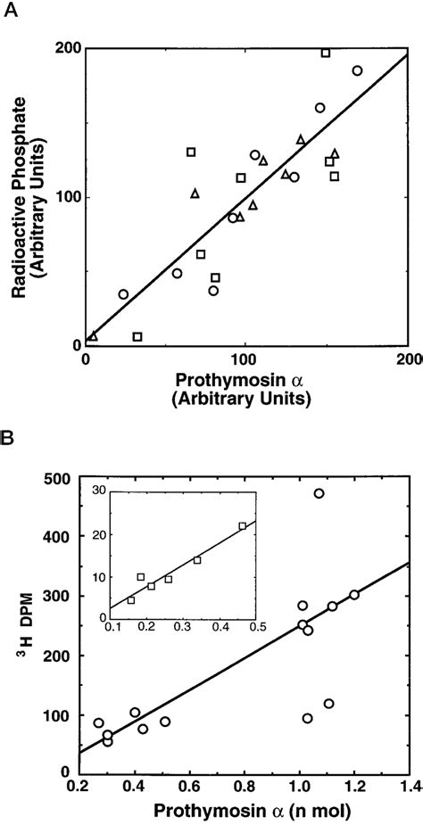The Relationship Between Prothymosin Protein And Its Labile Glutamyl