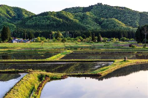 「水を張った田んぼ水を張った田んぼ」のフリー写真素材を拡大 Countryside Scenery City